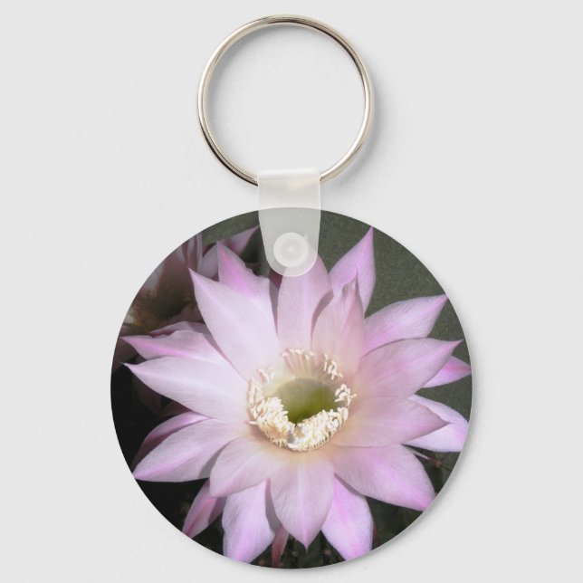 Porte-clés Porte - clé (Recto)