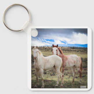 Porte-clés Porte - clé