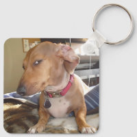 Porte - clé à deux côtés pour chien oeil latéral