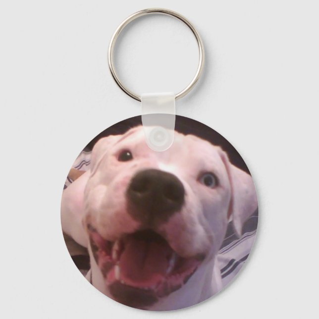 Porte-clés Porte - clé américain de bulldog (Recto)