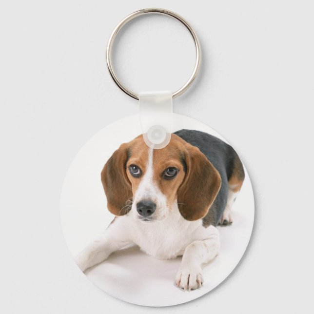 Porte-clés Porte - clé beagle (Recto)