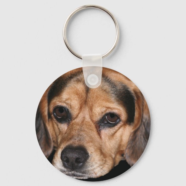 Porte-clés Porte - clé beagle (Recto)