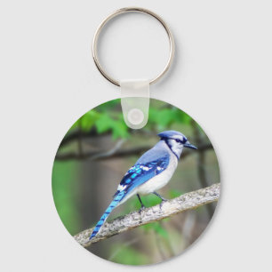 Porte-clés Porte - clé Blue Jay