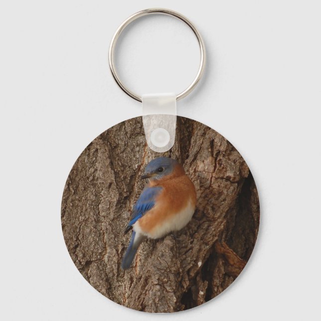 Porte-clés Porte - clé Bluebird (Recto)