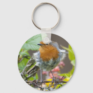 Porte-clés Porte - clé britannique de Robin au printemps