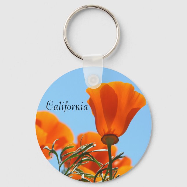 Porte-clés Porte - clé californien (Recto)