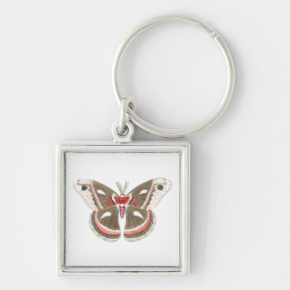 Porte-clés Porte - clé Cecropia Moth