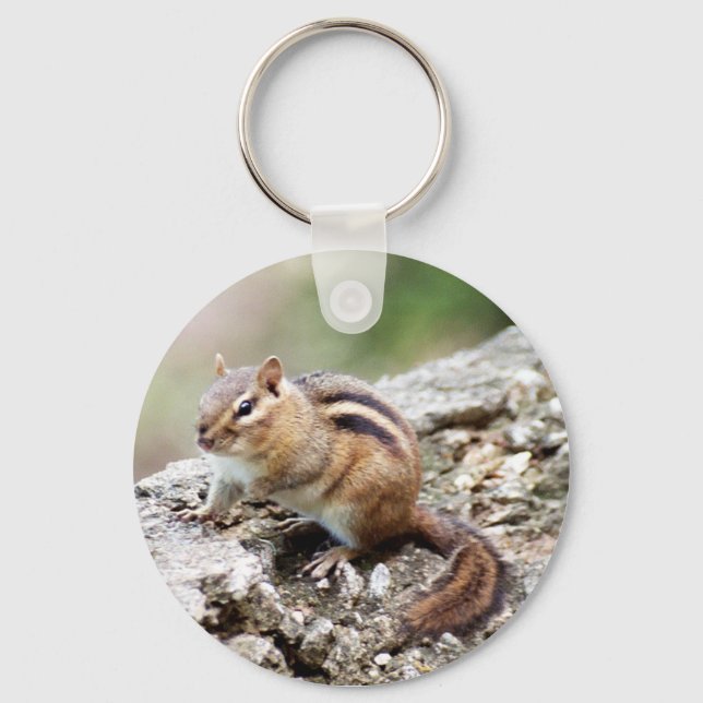Porte-clés Porte - clé Chipmunk (Recto)