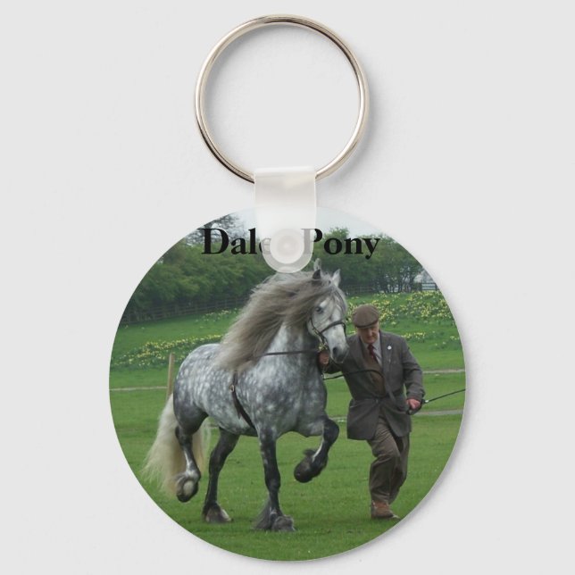 Porte-clés Porte - clé Dales Pony (Recto)