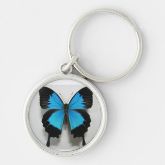 Porte-clés porte - clé de bleu de papillon