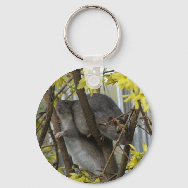 Porte-clés Porte - clé de boudins tordus (Recto)