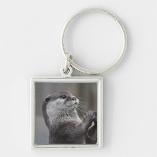 Porte-clés Porte - clé de cerveau de loutre
