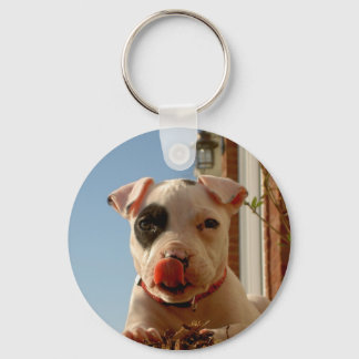 Porte-clés Porte - clé de chien