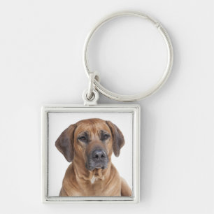 Porte-clés Porte - clé de Chien à chiots de Rhodesian Ridge