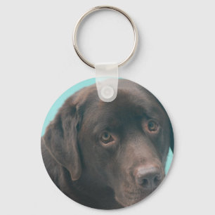 Porte-clés Porte - clé de chien de laboratoire de chocolat