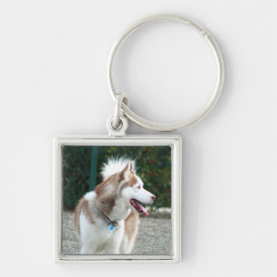 Porte-clés Porte - clé de chien de traîneau sibérien