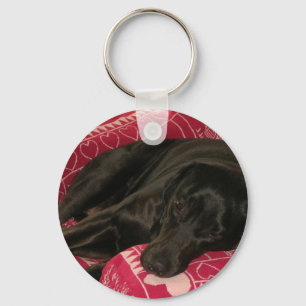 Porte-clés Porte - clé de chien endormi