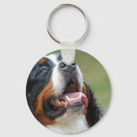Porte - clé de chiens Berner Sennenhund