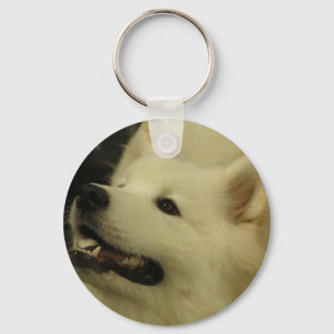 Porte-clés Porte - clé de chiot de Samoyed