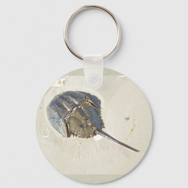 Porte-clés Porte - clé de crabe en fer à cheval (Recto)