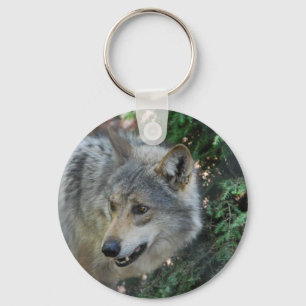 Porte-clés Porte - clé de égrappage de loup