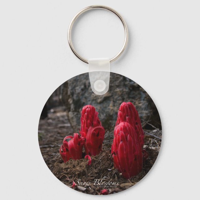 Porte-clés Porte - clé de fleurs de neige (Recto)