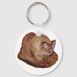 Porte-clés Porte - clé de framboise Kitty de Dezi