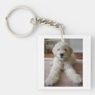 Porte-clés Porte - clé de Goldendoodle