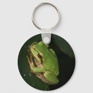 Porte-clés Porte - clé de grenouille à arbre vert