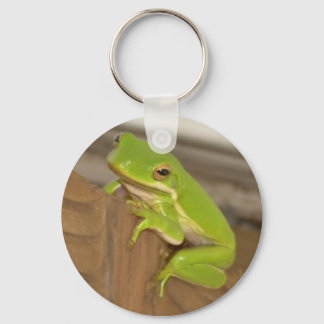 Porte-clés Porte - clé de grenouille arborescente
