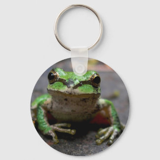 Porte-clés Porte - clé de grenouille arborescente