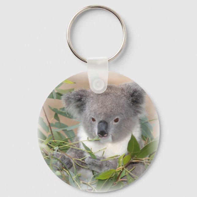 Porte-clés Porte - clé de Koala Bear (Recto)