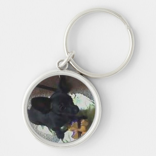 PORTE-CLÉS PORTE - CLÉ DE LA MEILLEURE QUALITÉ DU "BÉBÉ (Devant)