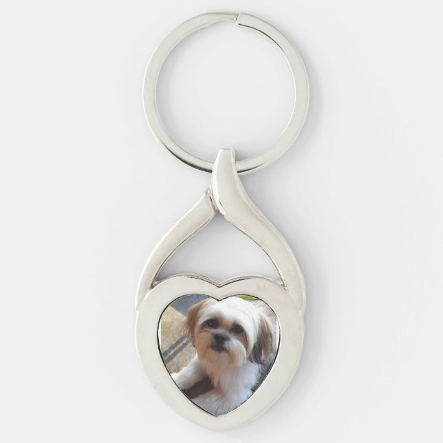 Porte-clés Porte - clé de mémoire d'animal familier (Devant)