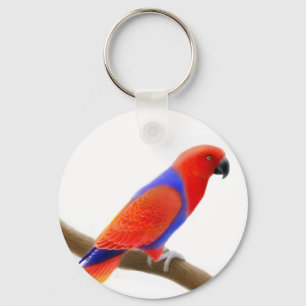 Porte-clés Porte - clé de perroquet Eclectus féminin