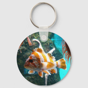 Porte-clés porte - clé de poissons