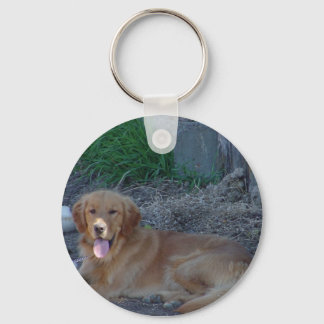 Porte-clés Porte - clé de récupération d'or