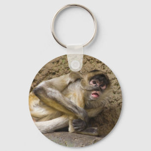 Porte-clés porte - clé de singe
