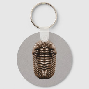Porte-clés Porte - clé de Trilobite