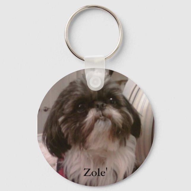 Porte-clés Porte - clé de Zole (Recto)