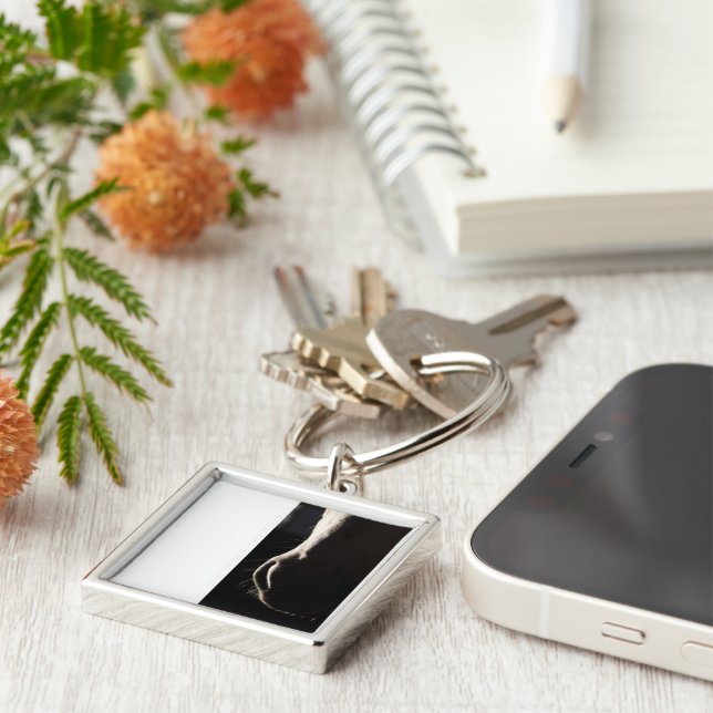 Porte-clés Porte - clé d'eau (Côté)