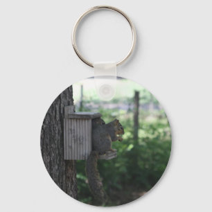Porte-clés Porte - clé d'écureuil