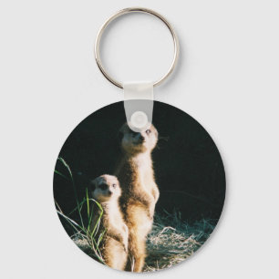 Porte-clés Porte - clé des amis de Meerkat
