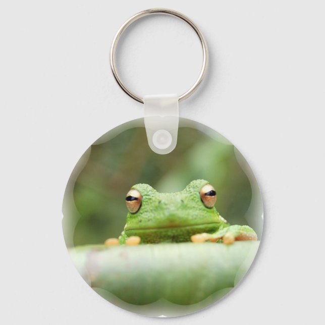 Porte-clés Porte - clé des yeux de grenouille (Recto)