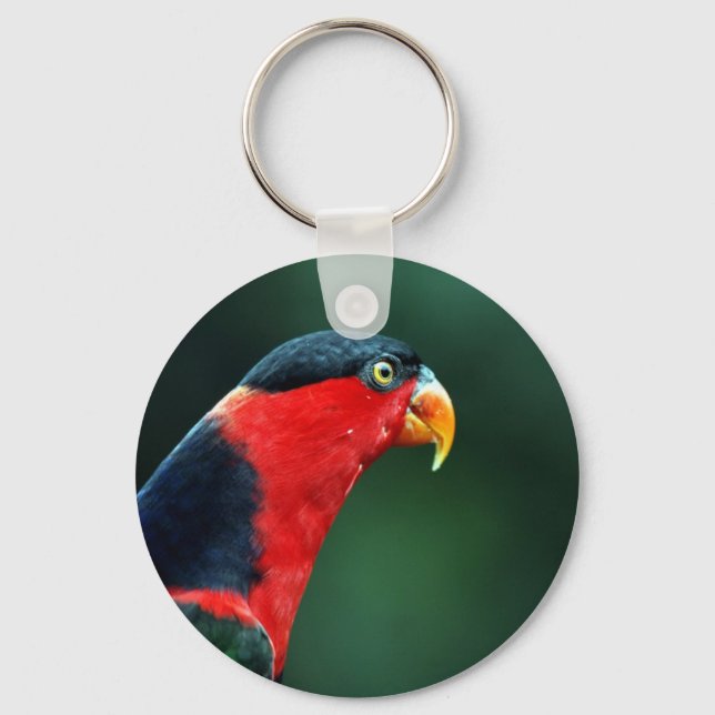 Porte-clés Porte - clé d'oiseaux coloré (Recto)