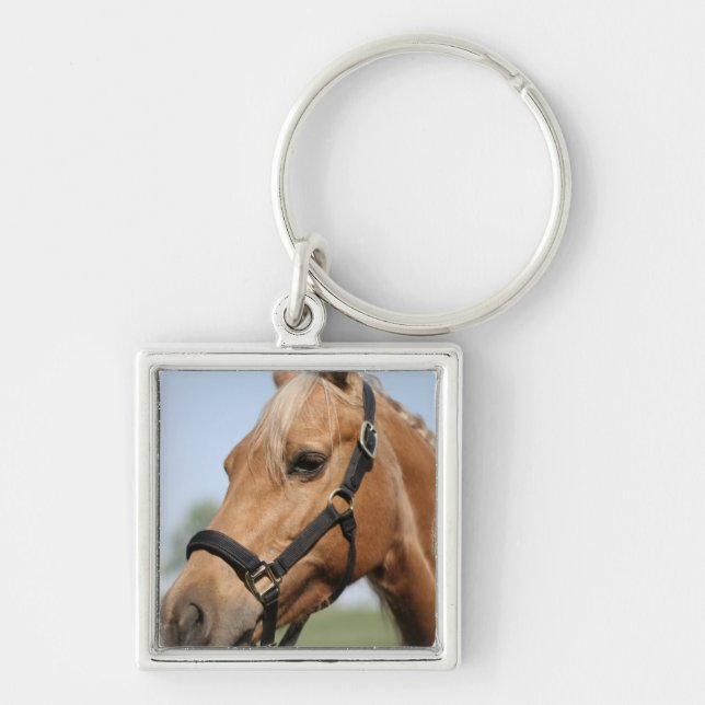 Porte-clés Porte - clé doux de palomino (Devant)