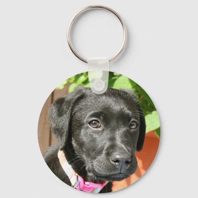 Porte-clés Porte - clé du Labrador noir (Recto)