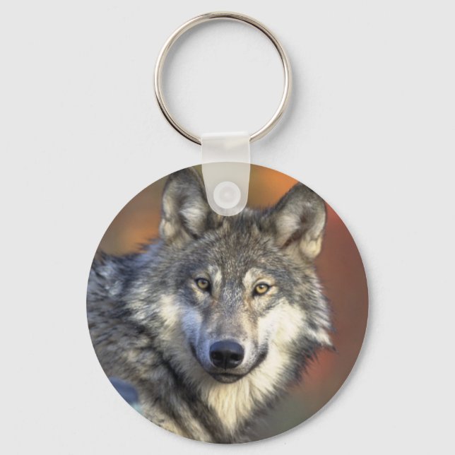 Porte-clés Porte - clé du loup gris (Recto)