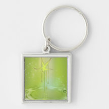 Porte - clé étoile en chute