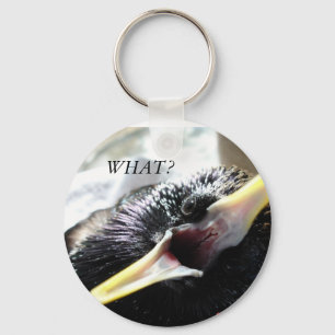 Porte-clés Porte - clé européen Starling